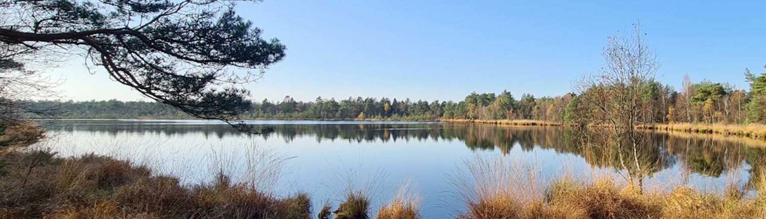 Grundloses Moor