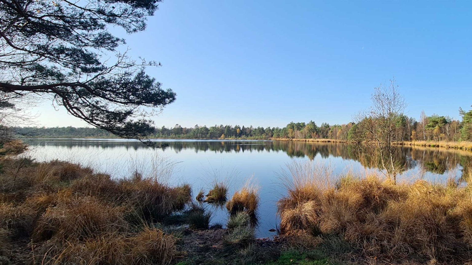 Grundloses Moor