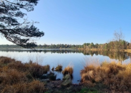 Grundloses Moor