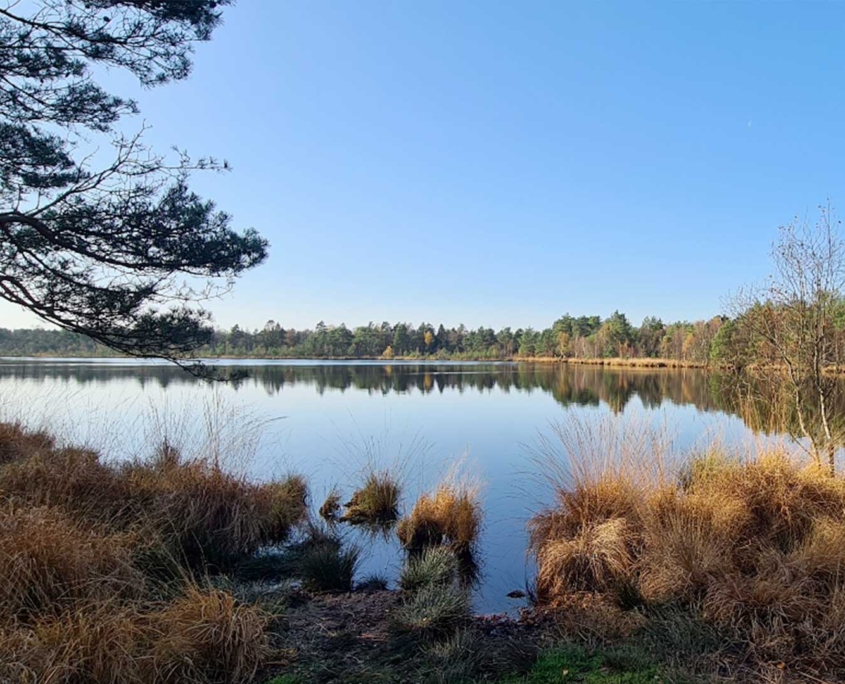 Grundloses Moor